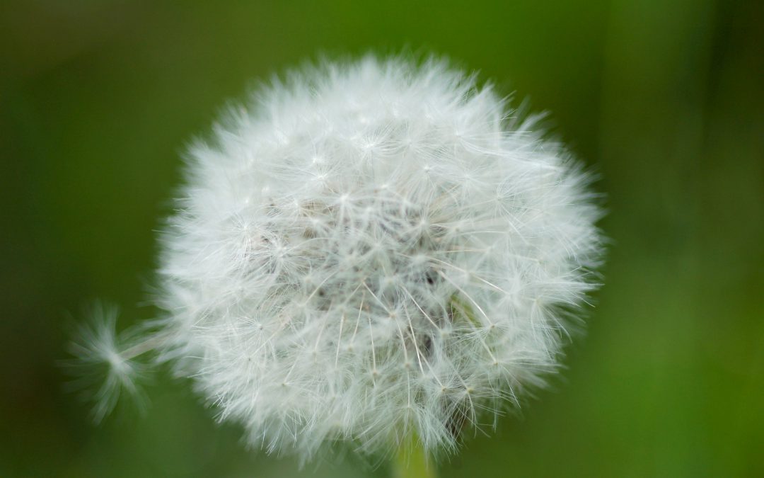 Toucher son âme