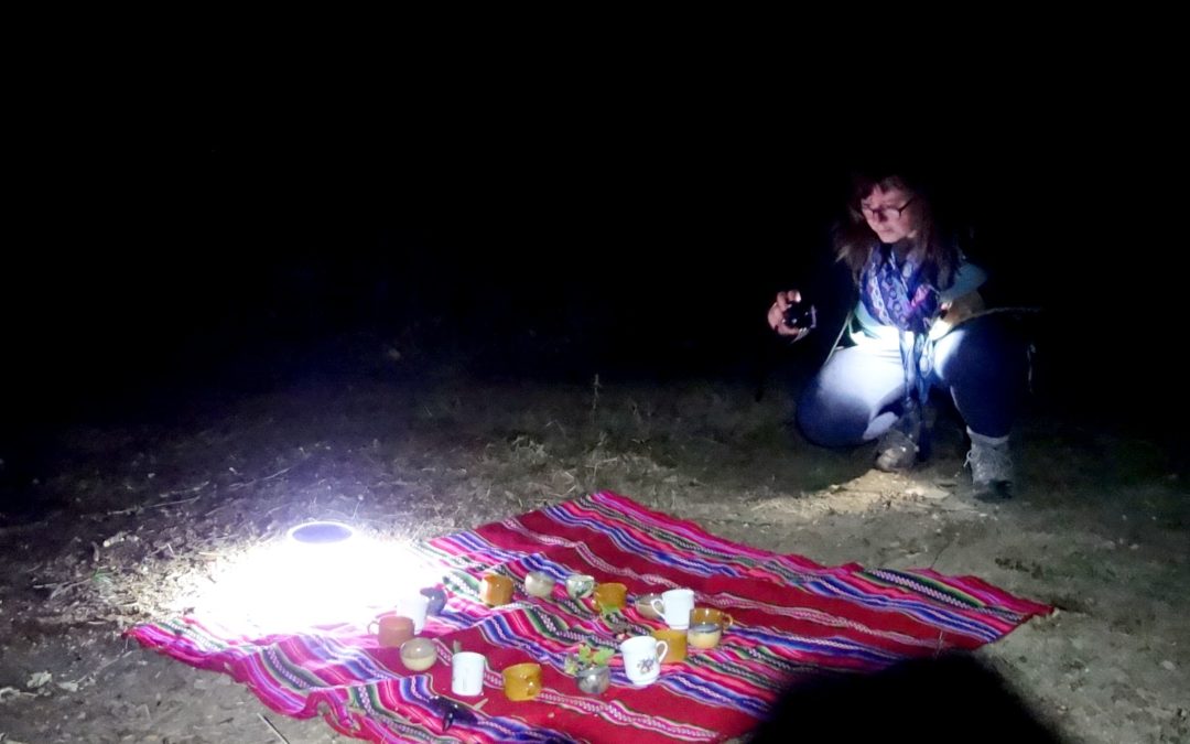 Un bain de forêt nocturne pour la journée internationale des bains de forêt