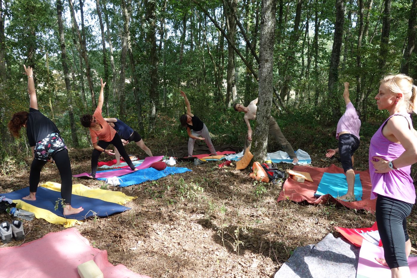 Photos du stage yoga en forêt
