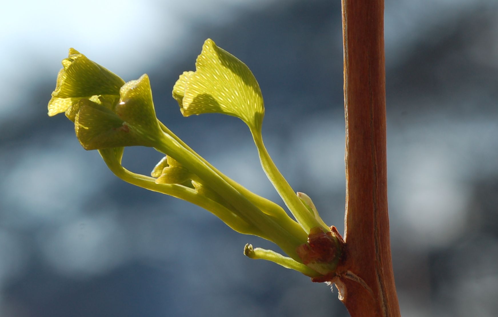 Un atelier sur le leadership animé par Entre les Arbres à la CCI de Lyon