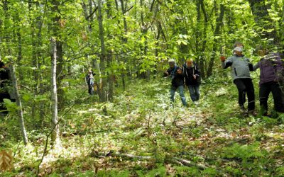 Forêt intégrale : la forêt sous tous les angles