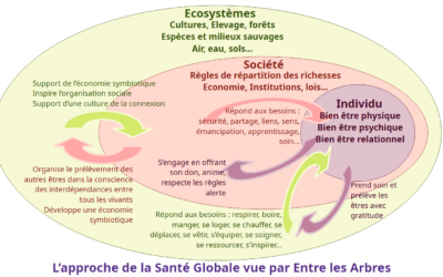 Une approche de la santé globale