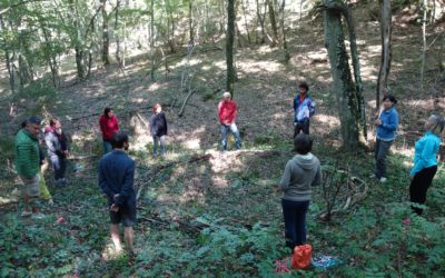 Souffrances du vivant, deuils collectifs et rituels